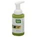 Foam Hand Wash Ginger Bergamot 9.50 Ounces