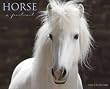 Horse A Portrait 2010 Wall Calendar