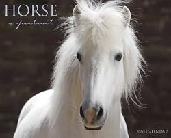 Horse A Portrait 2010 Wall Calendar