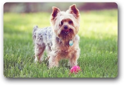 cute Yorkshire Terrier,funny dogs art Durable Indoor/Outdoor Door Mat 23.6"(L) x 15.7"(W)