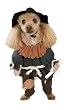 Wizard of Oz Costumes - Scarecrow Dog Costume X-Large Dog