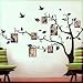 LARGE Black Photo Picture Frame Tree Vine Branch Removable Wall Decor Decal Sticker XL LEFT FACING