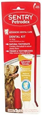 Petrodex Natural Dog Dental Care Kit, Peanut Toothpaste with 2 Toothbrushes by Serafini Sport