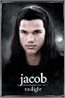 Twilight - Movie Poster (Jacob Solo) (Size: 24" x 36")