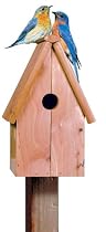 Perky Pet 50302 Bluebird Home Cedar Birdhouse