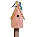 Perky Pet 50302 Bluebird Home Cedar Birdhouse
