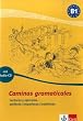 Caminos gramaticales B1. Heft und Audio-CD mit L�sungen: Lecturas y ejercicios - perfecto/imperfecto/indefinido