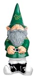 University of South Florida Bulls Garden Gnome