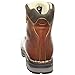 Zamberlan Men's 1025 Tofane NW GT RR Hiking Boot,Waxed Brick,9.5 M US