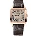 Cartier Santos Dumont w2006951