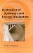 Hydraulics of Spillways and Energy Dissipators (Civil and Environmental Engineering)