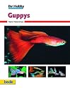 Guppys, Ihr Hobby