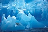 Antarctic Wonderland - Poster (Antarctic Ice Cave) (Size: 36" x 24")