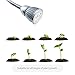 Plant Grow Light, Amyhomie 5W Led Goose Neck Desk Grow Lights With Spring Clamp for Indoor Succulent/Hydroponic/Pot Plants
