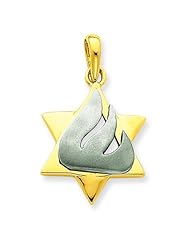 14K Two Tone Gold Star of David Pendant Charm