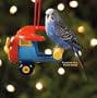 Jungle Talk Plane Swing - Small Bird/Medium Bird