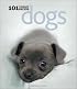 Dogs: 101 Adorable Breeds