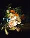 A Carnation, Morning Glory and Other Flowers by Rachel Ruysch - 18