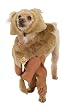 Wizard of Oz Costumes - Cowardly Lion Dog Costume Large Dog