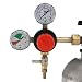 Primary High Pressure Double Gauge Mixed Gas Regulator