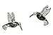 Genuine Paua Shell Earrings- Humming Bird Inspired