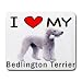 terrier42 - I Love My Bedlington Terrier