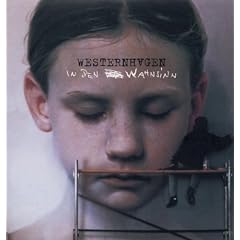 In Den Wahnsinn [Vinyl LP]