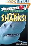 Amazing Sharks!