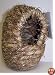 Vo-Toys Grass Finch Nest 4x6in