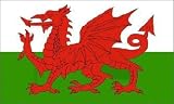 from Another Quality product supplied by klicnow 5ft X 3ft Wales Welsh Dragon National Flag Model WF41