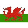 Special Offer....5ft X 3ft Wales Welsh Dragon National Flag