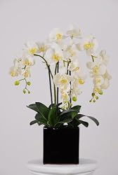 Artificial Triple-stem Phalaenopsis Orchid Arrangement Cream/yellow