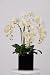 House of Silk Flowers