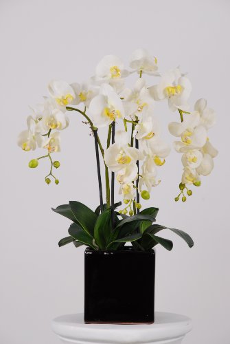 Artificial Triple-stem Phalaenopsis Orchid Arrangement Cream/yellow