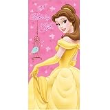 Disney Princess Money or Voucher Wallet Gift Idea - Size 95 x 195mm