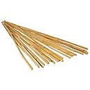 Hydrofarm HGBB2 2' Natural Bamboo Stake, pack of 25