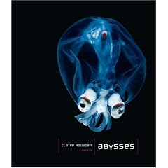 Abysses