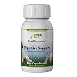 PetAlive Digestive Support for Ongoing Pet Digestive Health (60 Caps)
