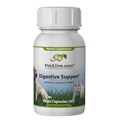 PetAlive Digestive Support for Ongoing Pet Digestive Health (60 Caps)