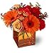 Summer | Flowers | Roses and Gerbera | Teleflora's Sunrise Sunset