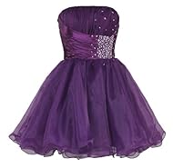 Organza Above the Knee Short Beaded Homecoming Dress/Mini Dress 