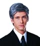 Adult Commander In Chief Grey Wig