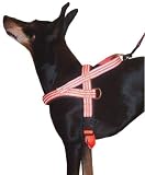 Eigenschaften Limex  / Hundegeschirr mit Neopren gefüttert orange reflektierend 50-60 cm