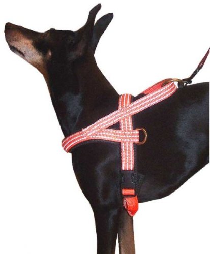 Hundegeschirr mit Neopren gefüttert orange reflektierend 50-60 cm
