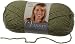 Lion Brand Yarn 860-173E Vanna�s Choice, Dusty Green