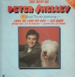 BEST OF LP (VINYL ALBUM) UK MAGNET 1977