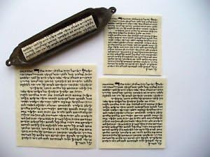 Mezuzah Scrolls on Parchment. Shema Israel Scrolls. 3 Sizes. 2", 2.5", 3"