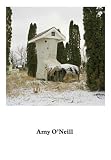 Amy O'Neill: Suburban Imagination