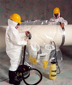 mold removal