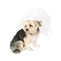 Isaac Mizrahi Pets™ Bridal Veil- True White